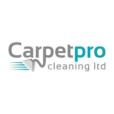 /public/media/carpet-pro.webp